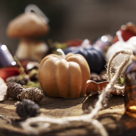 Charme d'Automne – Image 4