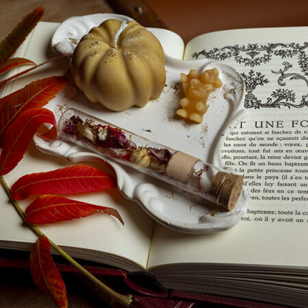 Cosy Book - Automne – Image 2