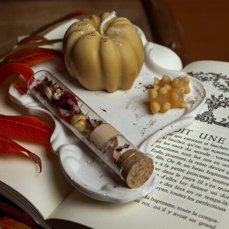 Cosy Book - Automne – Image 5