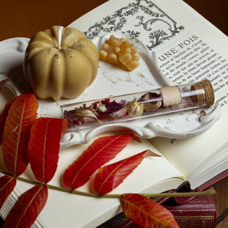Cosy Book - Automne – Image 3