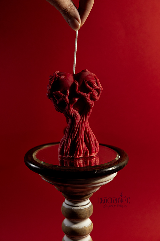 Bougie Arborélia – Image 4